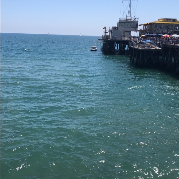 Meet your Posher, Rosie - Picture 1 of 1